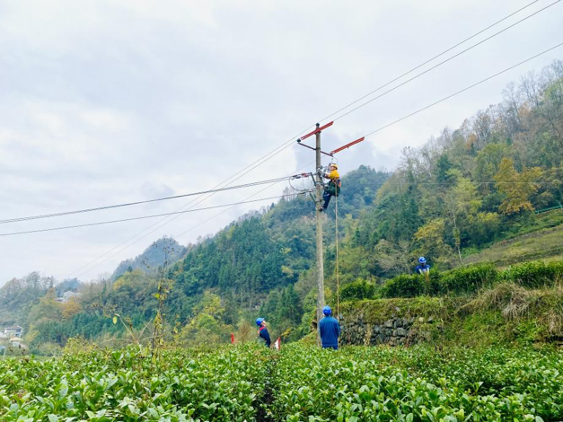 國網陜西電力：打造陜電營商新名片 服務構建新發展格局_fororder_圖片 1