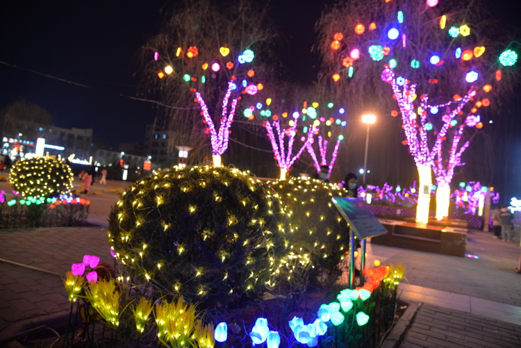 榆林靖邊：迎春燈飾扮靚城市夜色_fororder_迎春燈飾 (8).JPG