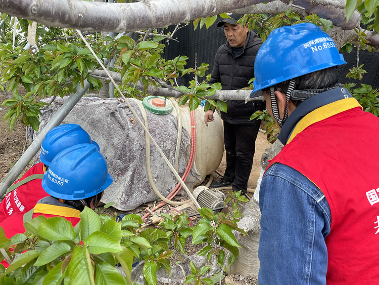 國網渭南供電公司：“滿格”電力助春耕_fororder_圖片18