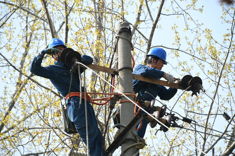 國網陜西電力：春檢消缺提質效 可靠供電保民生_fororder_圖片14