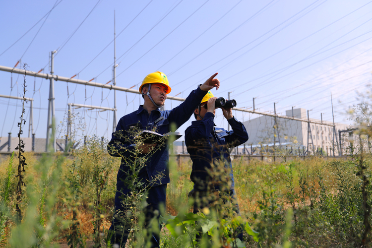 國網陜西電力：嚴防山火隱患 確保電網安全_fororder_國網陜西電力員工對易發生火災區域進行巡視.JPG