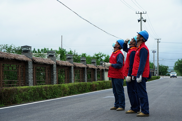 國網西安供電公司：堅強電網描繪鄉村振興“新圖景”_fororder_圖片20