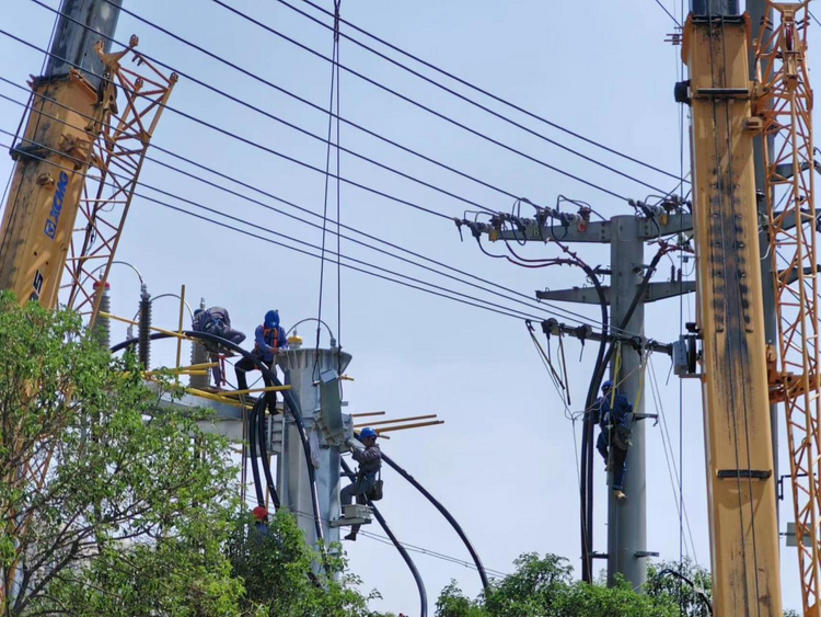 國網陜西電力：用優質服務築牢電力“連心橋”_fororder_圖片1