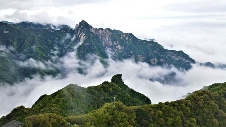 渭南： 全力推進黃河國家文化公園（渭南段）建設 打造黃河文化渭南新地標_fororder_圖片2