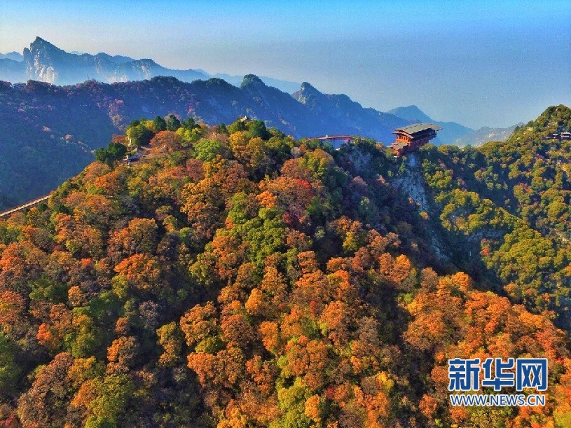 秋染秦嶺 少華山漫山紅葉美如畫