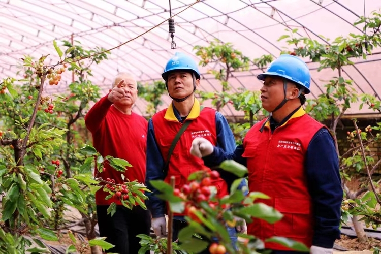 國網渭南供電公司：電力興農 繪就鄉村振興新畫卷_fororder_微信圖片_20240314172633