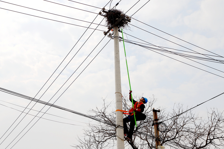 國網渭南供電公司：電力興農 繪就鄉村振興新畫卷_fororder_微信圖片_20240314172643