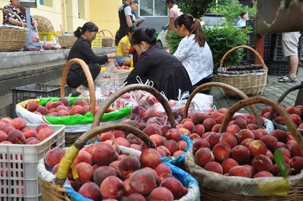 長安區土門峪合作社給貧困戶分紅了