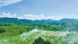 “一根絲”拉長富民産業鏈