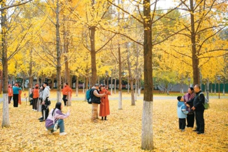 這就是文化傳承最美妙的方式_fororder_微信圖片_20251113085245_782_356