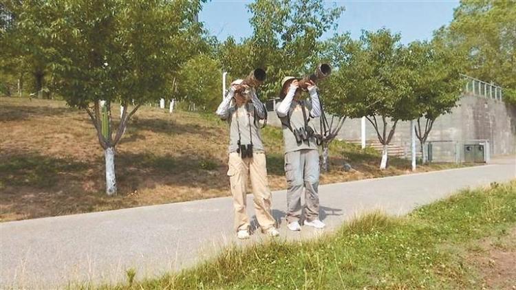 從觀鳥到護鳥 一起守護“藍天精靈” 西安野生鳥類種類達467種 佔全省81%