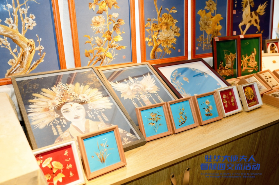 駐華大使夫人走進陜西省婦女兒童活動中心 解碼“她力量”盛放的N種可能_fororder_圖片902