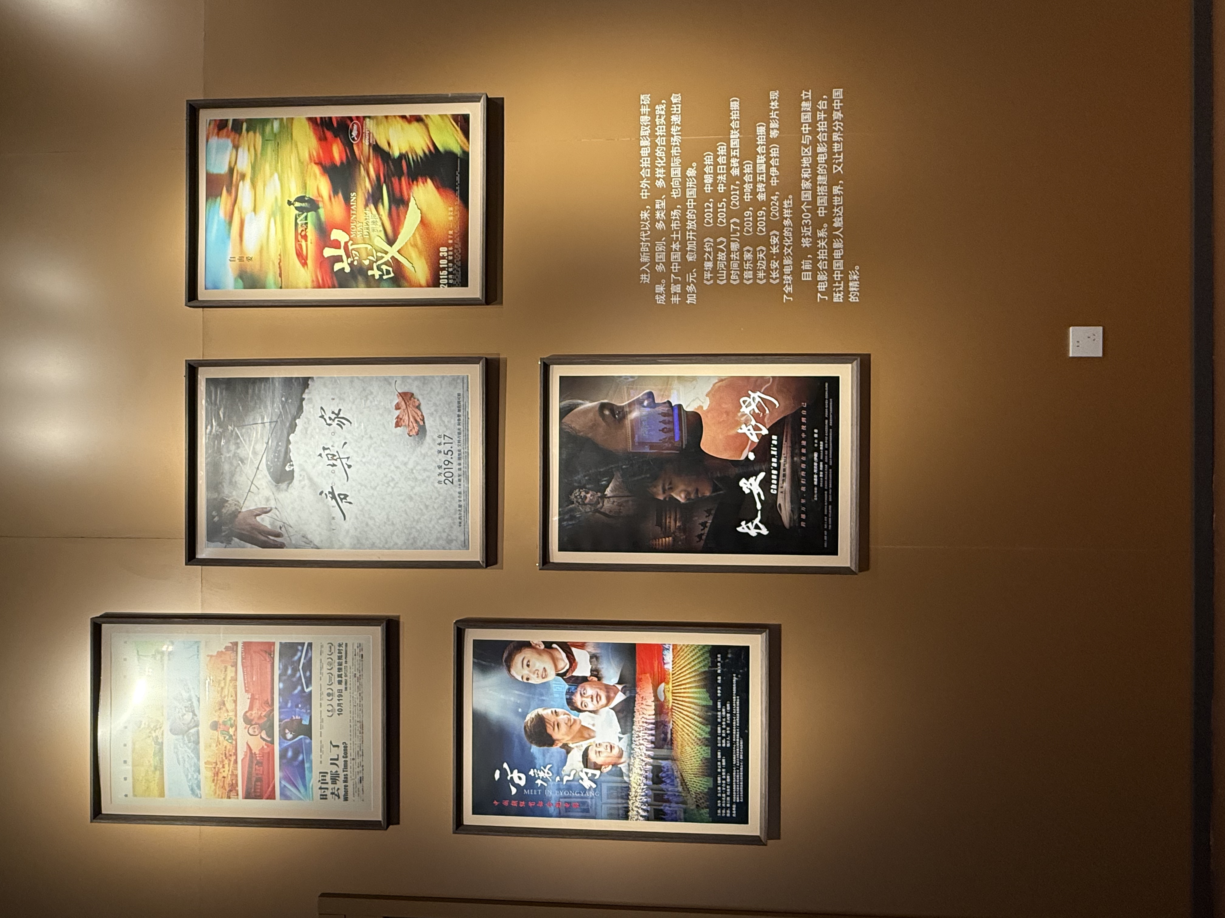 中與伊合拍的“一帶一路”主題電影《長安·長安》亮相新時代中國電影發展成就展_fororder_微信圖片_20251020225651