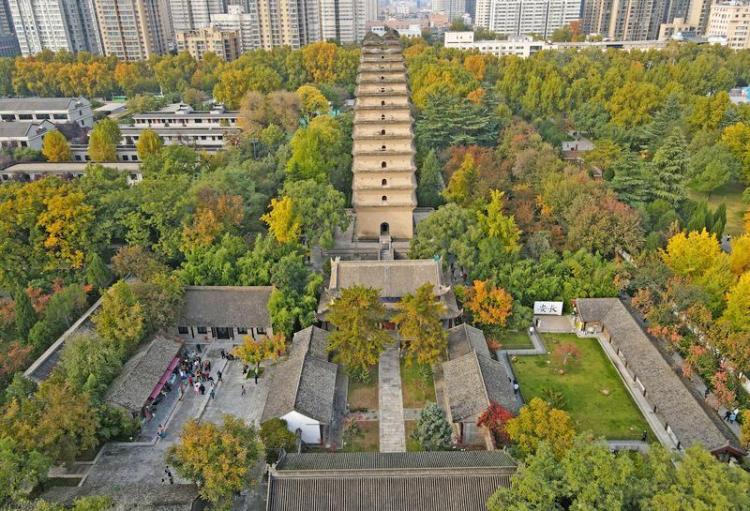 秋日小雁塔風景美