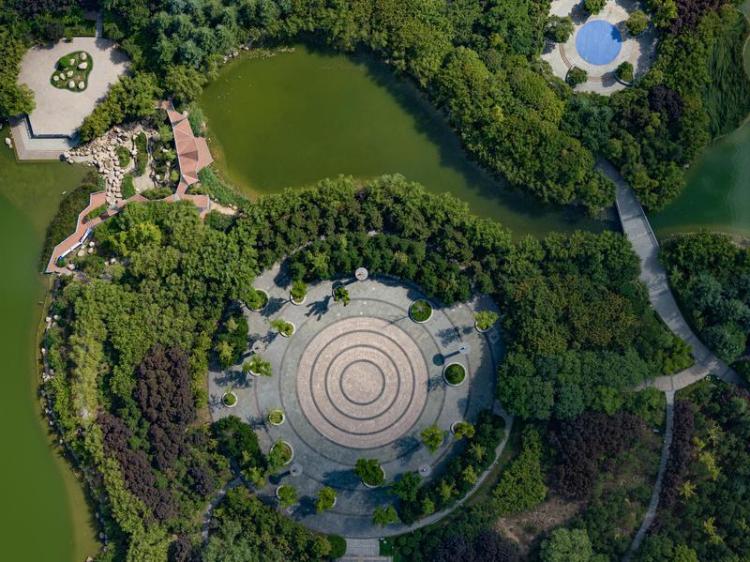 中湖公園 綠意盎然