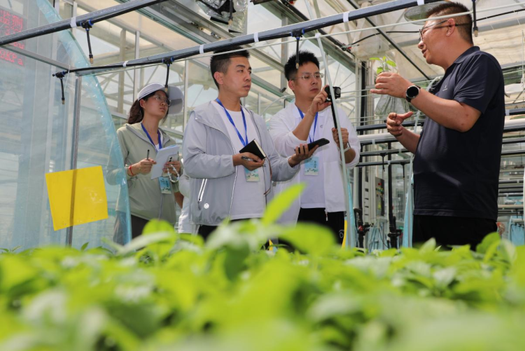 走出楊淩看示範∣靜寧蘋果“芯”潮涌動_fororder_圖片2