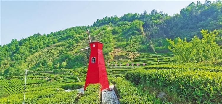 安康茶人的茶旅融合夢_fororder_微信圖片_20250508084946