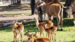 秦嶺冬日盛宴啟幕 五大景區淡季優惠來襲
