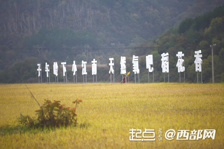追尋紅色足跡 五里橋田園綜合體繪就鄉村振興新圖景