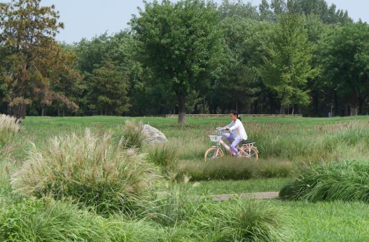 遺址公園秋景如畫