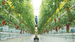 走進楊淩秦農智慧農業科技産業園——看一座“科技工廠”為豐收“編程”