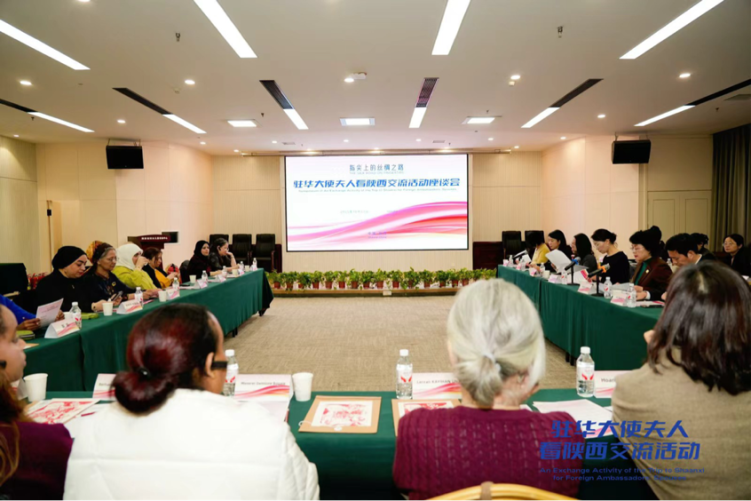 鄉村分享、醫療座談、婦女論壇 13國駐華大使夫人在西安關注了什麼?_fororder_圖片14