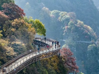 Shaohua's Autumn Splendor Enchants Visitors