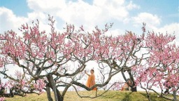 西安“春日經濟”在繁花與田野間活力綻放