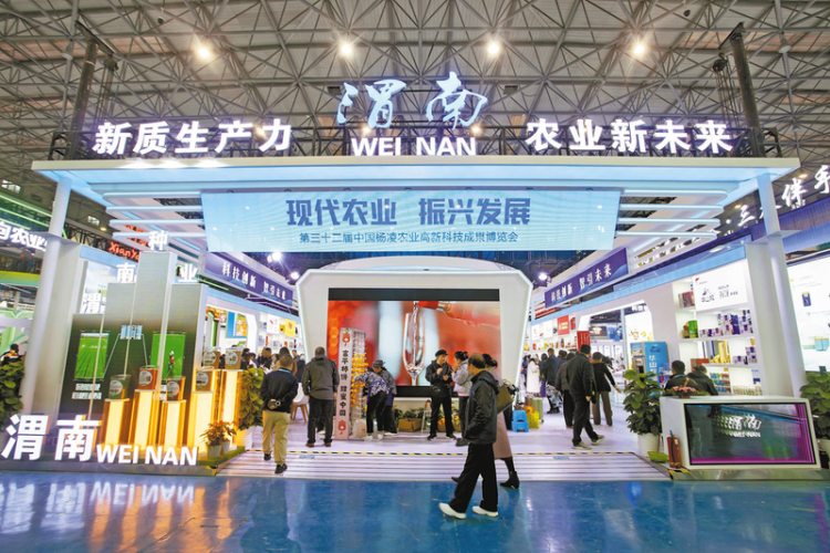 向世界遞出渭南農業“金名片” ——渭南市農産品楊淩農高會參展側記