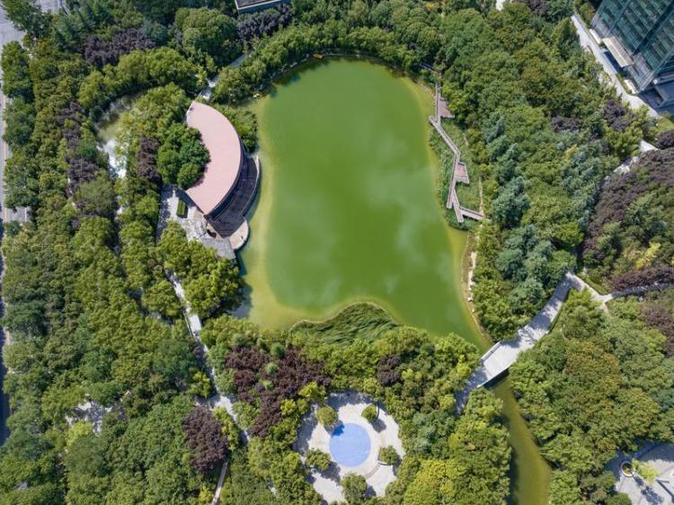 中湖公園 綠意盎然