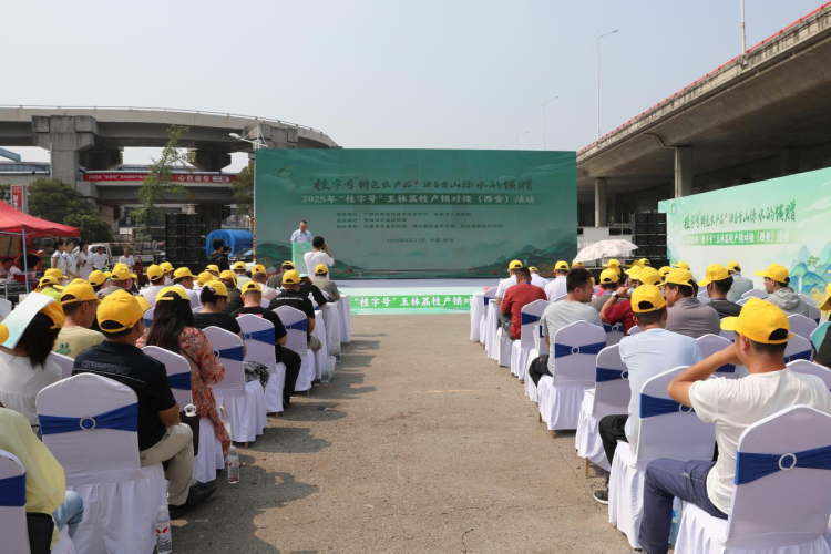 從嶺南到長安：玉林荔枝“牽手”西安市場 搭建兩地農業合作新橋梁_fororder_4·1