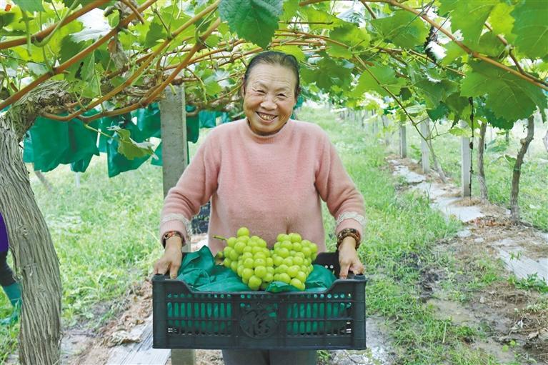 圖片默認標題_fororder_微信圖片_20251015135555_279_1320