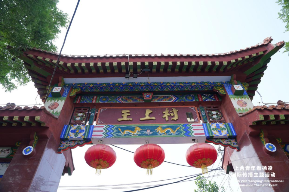 上合青年探訪王上村：“三産融合”與生態治理繪就鄉村振興新圖景_fororder_圖片30