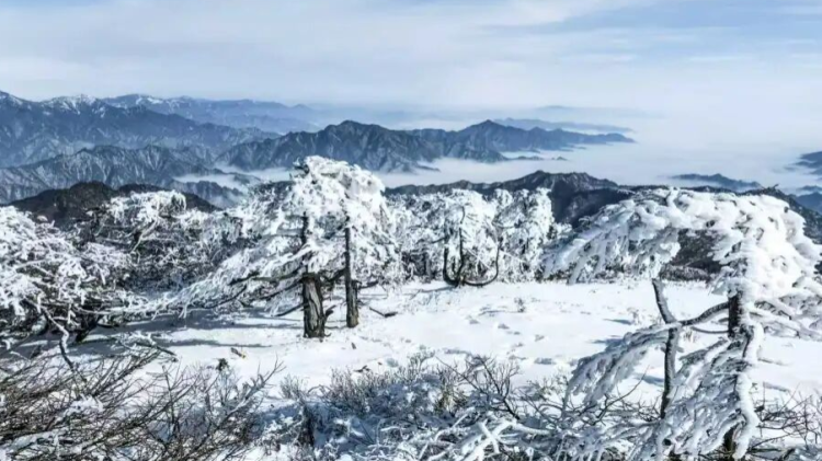 秦嶺常青 西安人抬頭可望的“詩與遠方”_fororder_圖片8