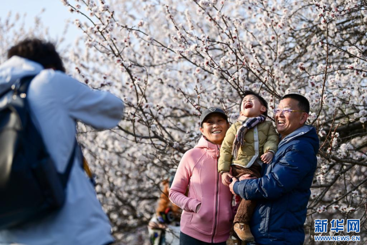 長安春日繁花開_fororder_微信圖片_20260310091533_1353_356