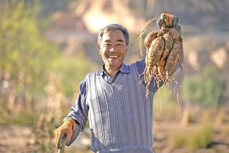 塞上沃野繪新卷 農業強市啟新程——榆林以農業現代化譜寫鄉村振興新篇章_fororder_微信圖片_20260126083042_2811_127