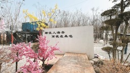 喚醒沉睡土地 繪就振興畫卷