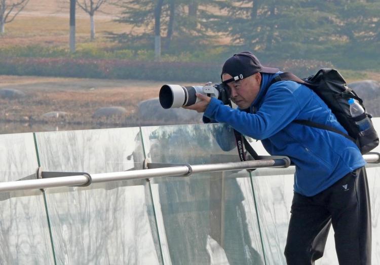 世博園來了紅嘴鷗