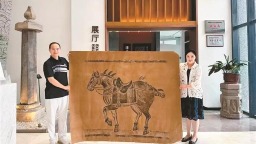 昭陵六駿之拳毛騧百年拓片回國 美籍華人無償捐贈給陜西漢唐石刻博物館