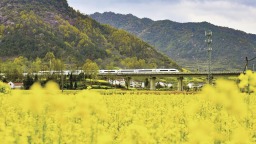 高鐵“公交化”開行 西安至漢中賞花更便捷