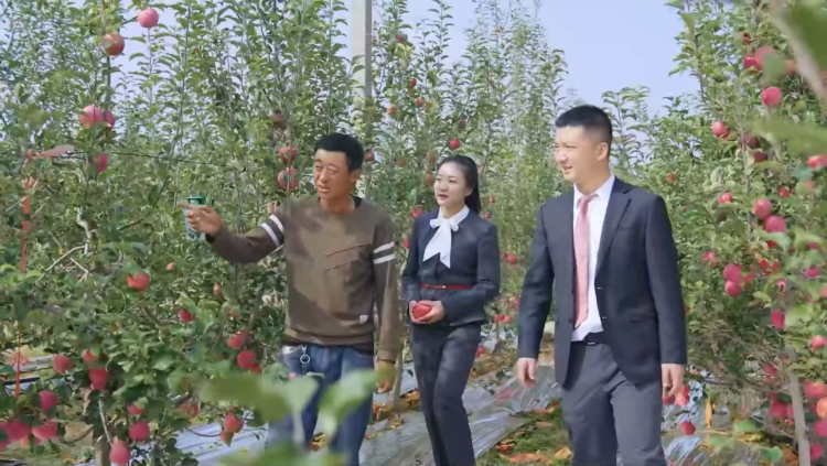 【“金”陜西·“融”世界 】從田間到指尖:金融“活水”澆灌三秦農香_fororder_圖片1