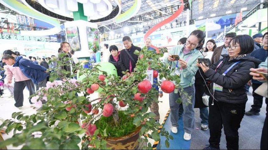 在農高會 看見田野上的創新圖景