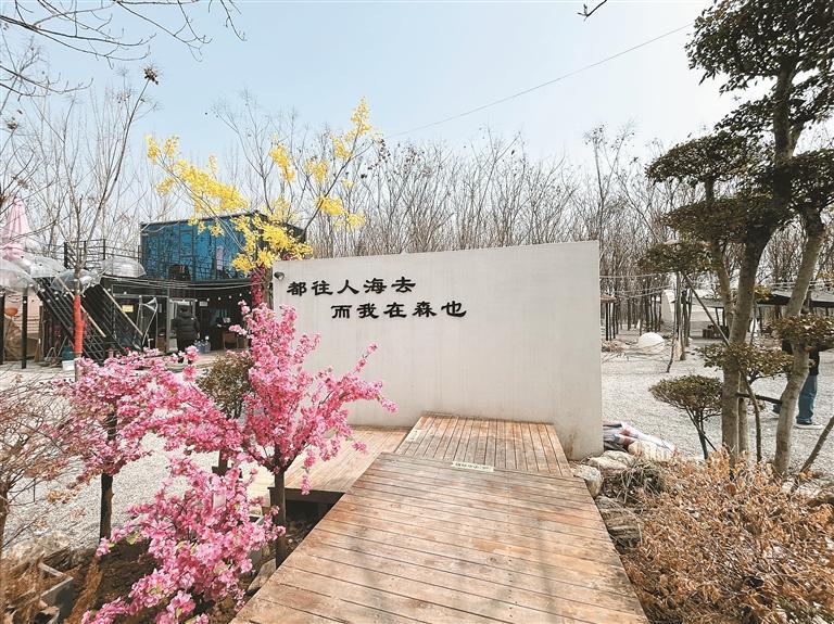 喚醒沉睡土地 繪就振興畫卷_fororder_微信圖片_20250317102250
