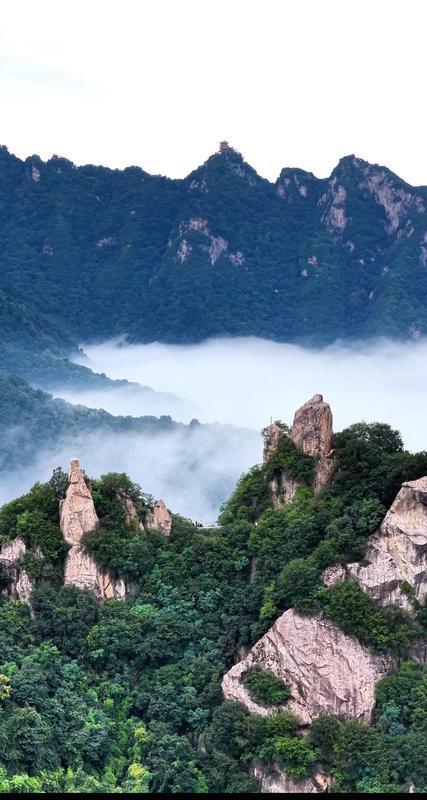 翠華山迎來秋季首場雲海
