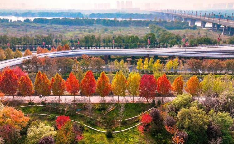 秦漢新城渭河北岸冬日盛景