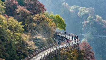 Shaohua's Autumn Splendor Enchants Visitors