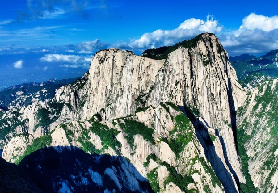 文化“出海”的中國“渭”道