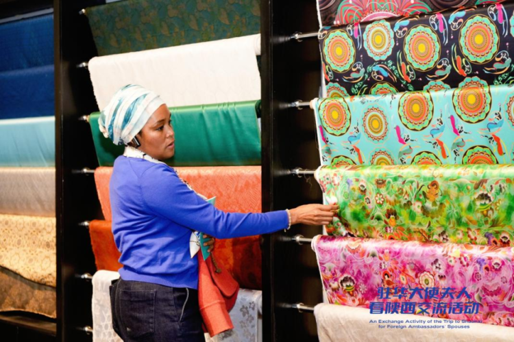 鄉村分享、醫療座談、婦女論壇 13國駐華大使夫人在西安關注了什麼?_fororder_圖片15