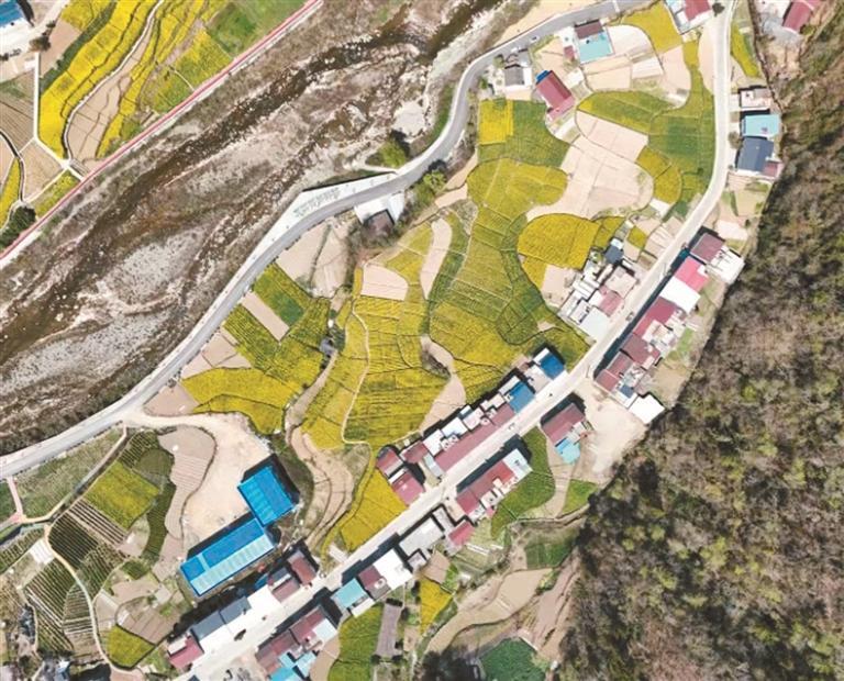 陜西省鎮巴縣首次發現史前遺址_fororder_微信圖片_20250408084947