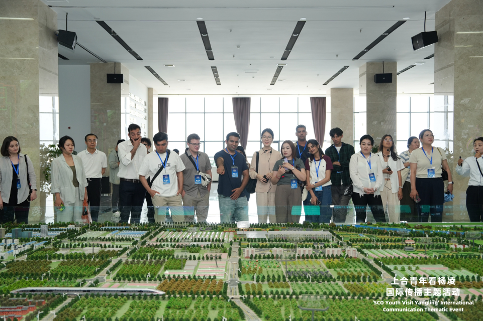 雲端種菜改寫農業未來 上合青年探秘楊淩農業“智慧大腦”_fororder_圖片1